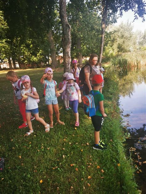 Vilkaviškio rajono Kybartų vaikų lopšelis-darželis 