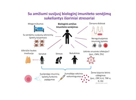 Grūdinimas ir imunitetas