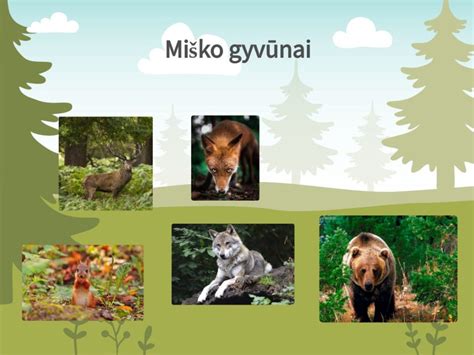 Miško gyvūnų iliustracija