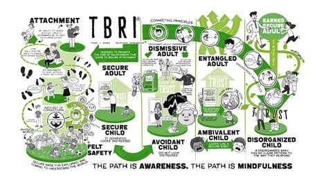 Schema: TBRI® metodo principai