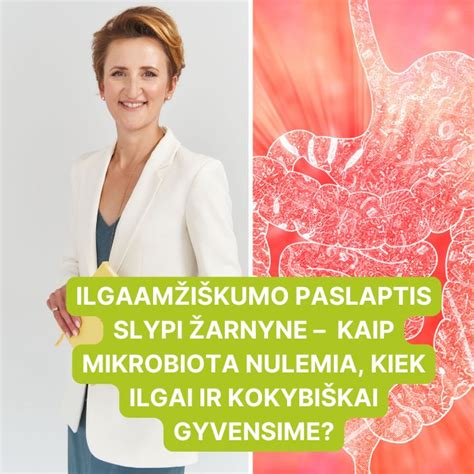 Schematinis vaizdas kaip veikia simetikonas žarnyne