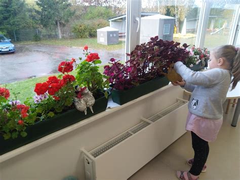 Vaikai tiria augalus