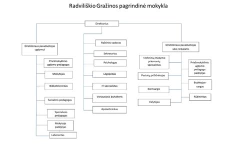 Specialistų bendradarbiavimo schema