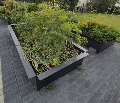 Balkono daržas ir modulinės lysvės