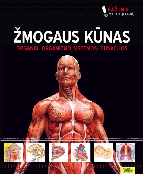 Anatomija moters reprodukcinės sistemos