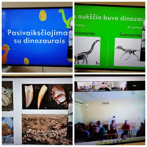 Edukacinė veikla 