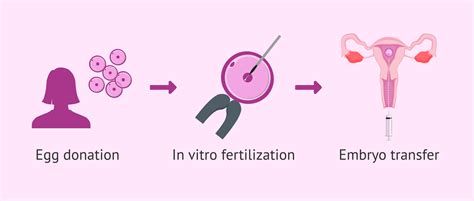 moters organizmo stimuliacija hormonais prieš IVF