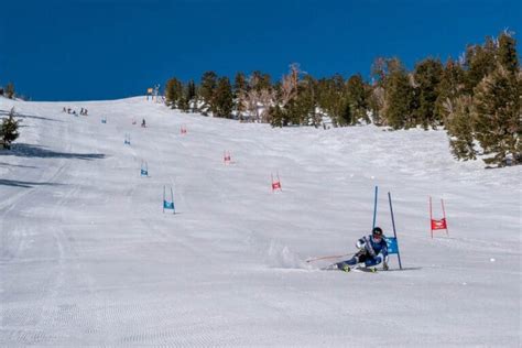 tėvai neša dvynukus specialiose skirose