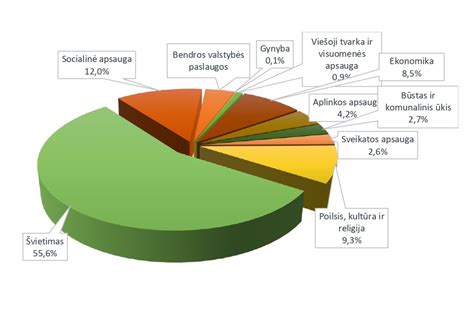 Grafikas, iliustruojantis biudžeto paskirstymą
