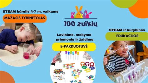 Pasidalytosios lyderystės dėmenys