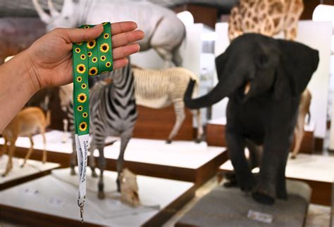Vaikai zoologijos muziejuje