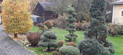 Keturių kartų santykis