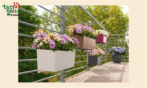 Gėlių vazonai balkone