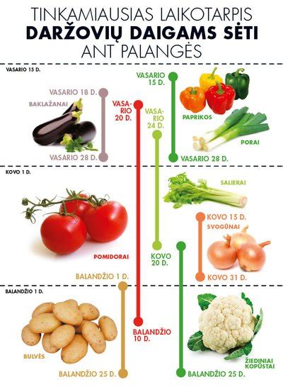 Daržovių sodinimo schema