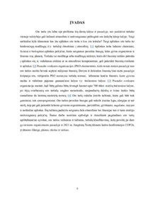 Bisfenolio A poveikis spermatozoidams