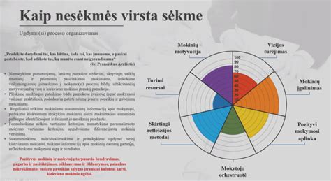Infografika su pagrindinėmis švietimo veiklos rūšimis ir jų kodais
