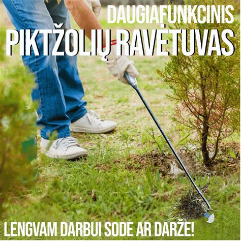 Rankomis ravėjimas darže