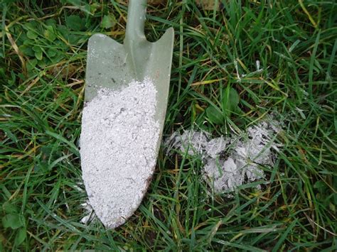 Medžio pelenų sudėtis