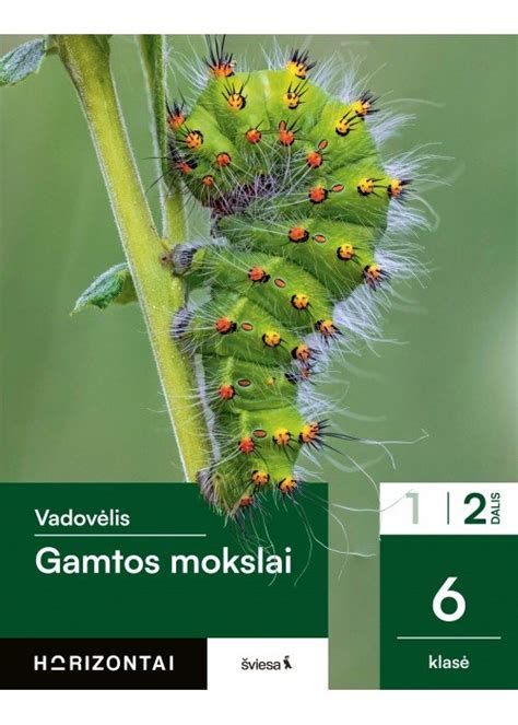 vaikai mokosi gamtos mokslų