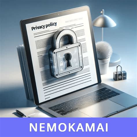 privatumo politikos ikona