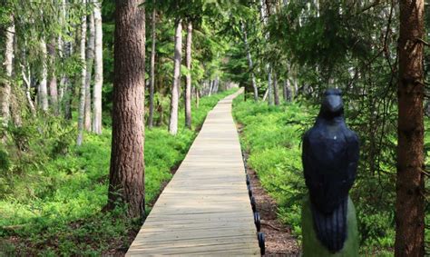 Pažintinis takas Babytės rododendrų parke