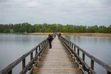 Sopoto medinis tiltas