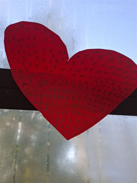 Naujagimių kačiukų lopšelis su motina