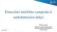 schematinis vaizdas apie emocinio intelekto sudedamąsias dalis