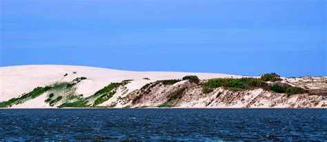 Smiltynės gamtovaizdis su jūra ir mišku