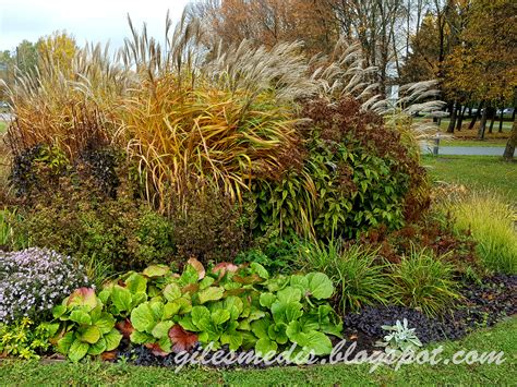 Gėlynas liepos mėnesį