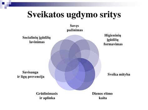 schemos vaikų ugdymo sritys
