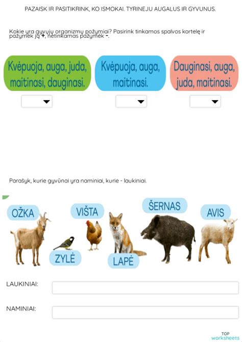 Vaizdžiai pateikta informacija apie augalus ir gyvūnus