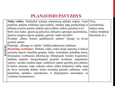 Pavyzdys vertinimo aplanko.