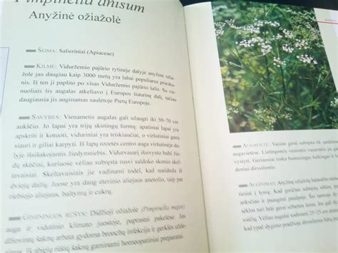 Vaistinių augalų rinkimas ir naudojimas