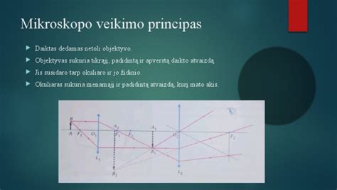 schematinis slapuko veikimo principas
