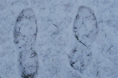 Vaiko pėdos sniege