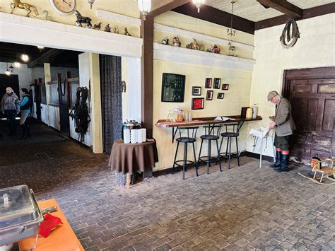 Grybų ir vabaliukų tyrinėjimo kampelis