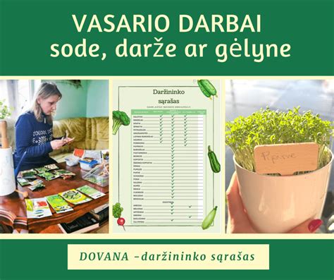 Sėjomainos schema darže