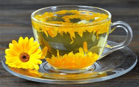 medetkos ir kosmėjos