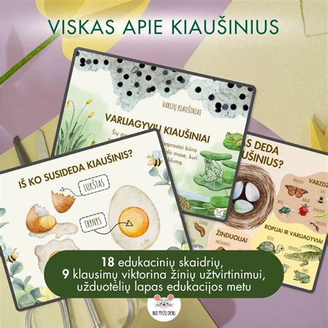 Skaidrių apie slapukus pavyzdys