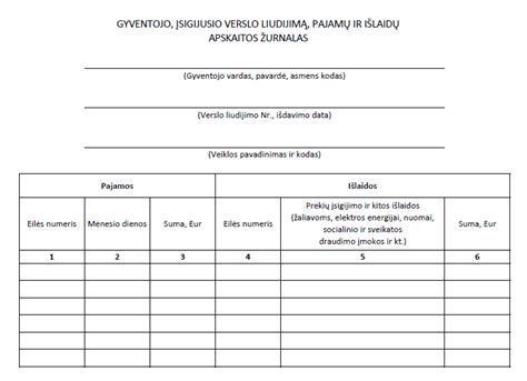 registracijos formos pavyzdys