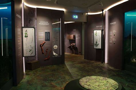 Dinozaurų ekspozicija Gamtos istorijos muziejuje