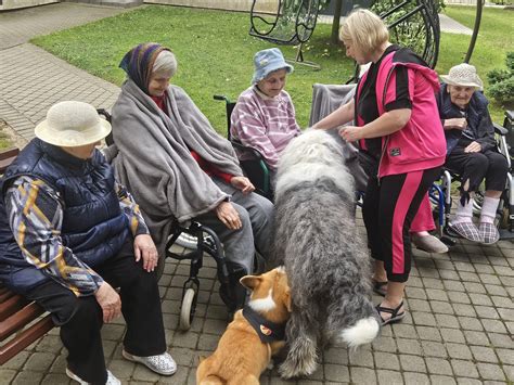 kaniterapija su vaikais