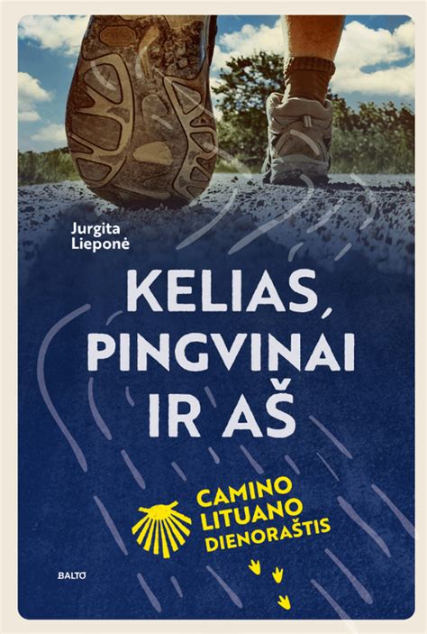 Schematinis vaizdas: kelias nuo 