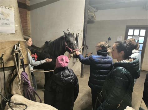 Vaikai jojantys ant žirgų