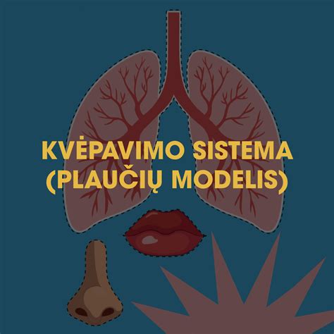 Vaikų plaučių sistema