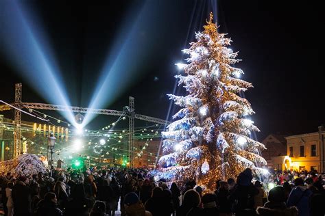 Jaunas žaltys ir Eglė prie jūros