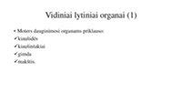 Moters reprodukcinė sistema ir kiaušinėlio kelionė