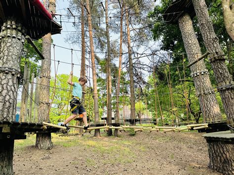 Nuotykių parkas su trasomis