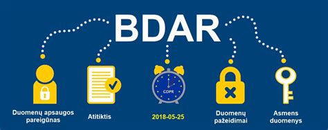 Infografika: Pagrindiniai BDAR principai